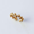 Anillo Duna