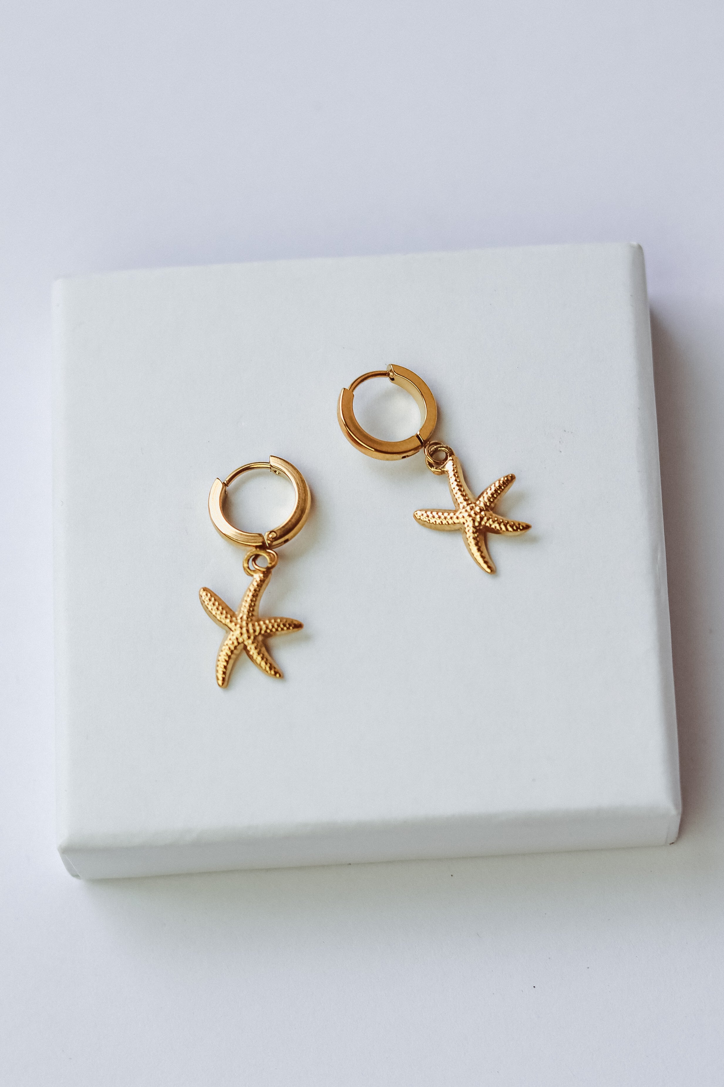 Aretes Estelaria