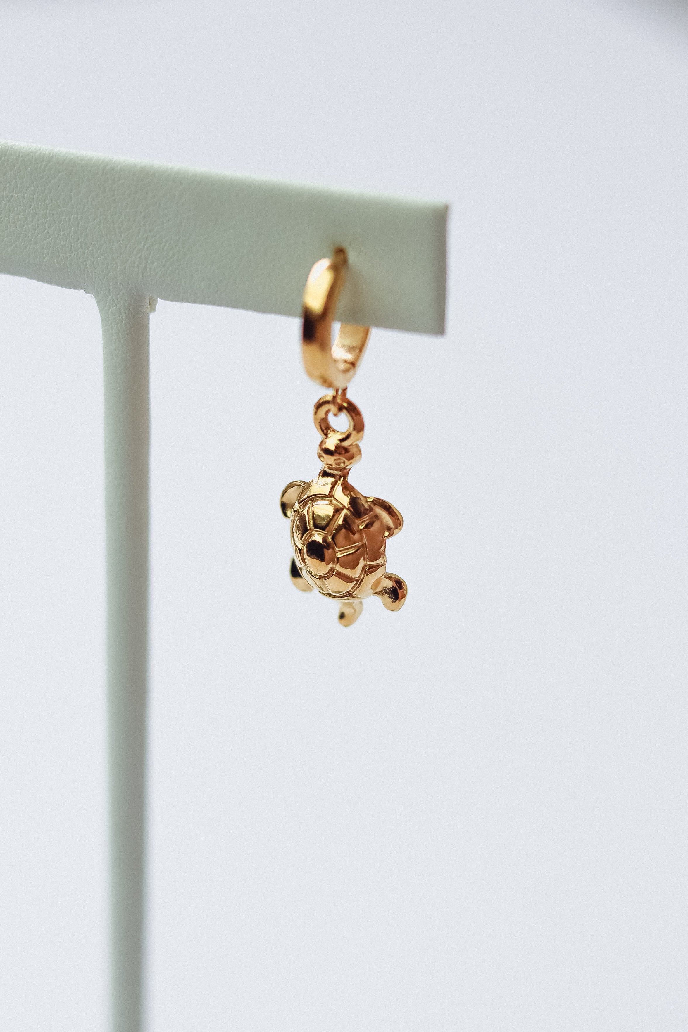 Aretes Tortuga