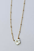 Collar Bellis