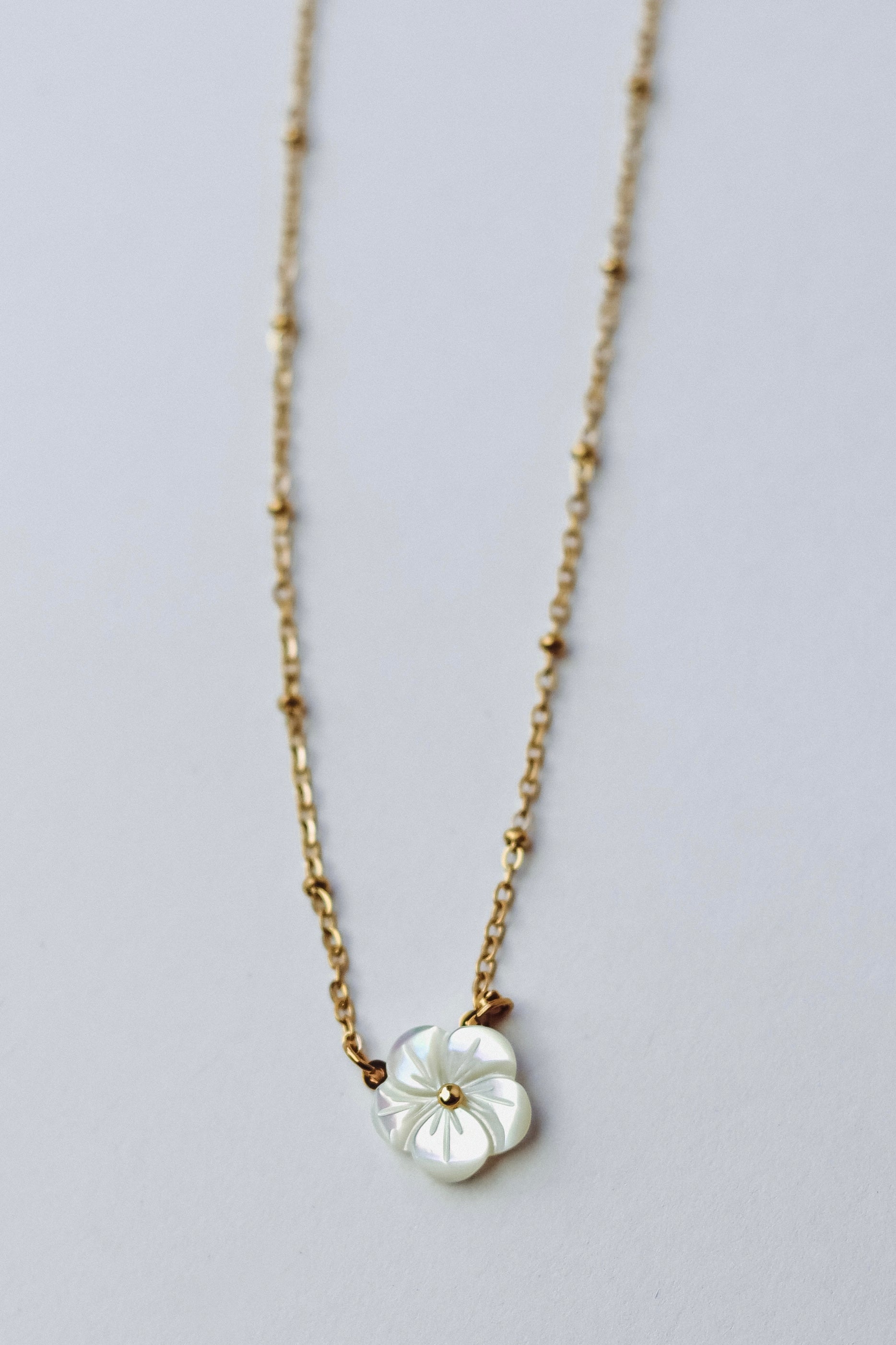 Collar Bellis